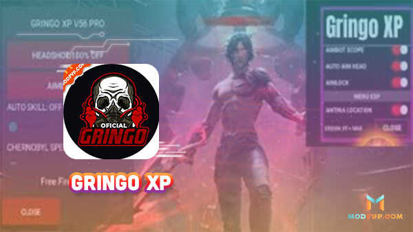 Gringo XP Apk