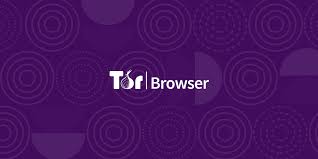 Tor Browser APK ApkRoutecom