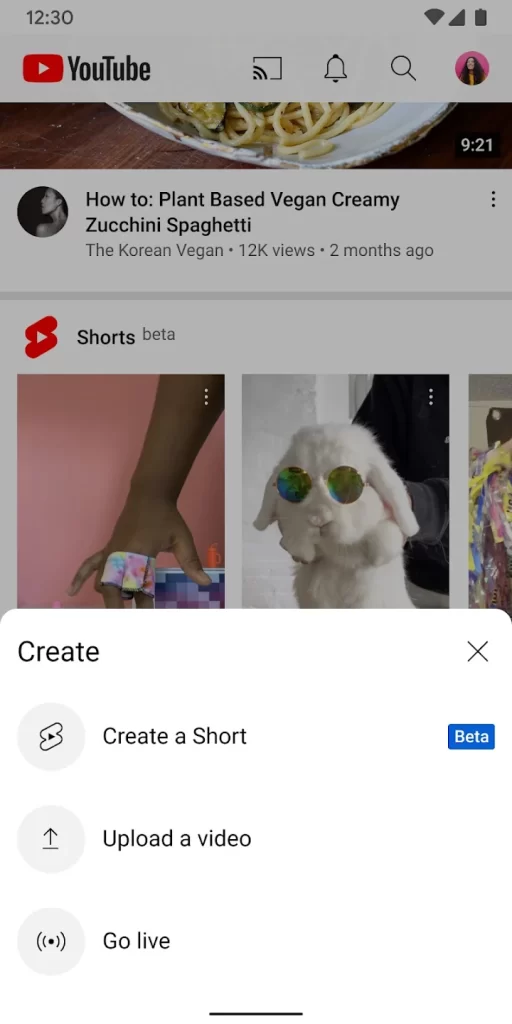 youtube download apk